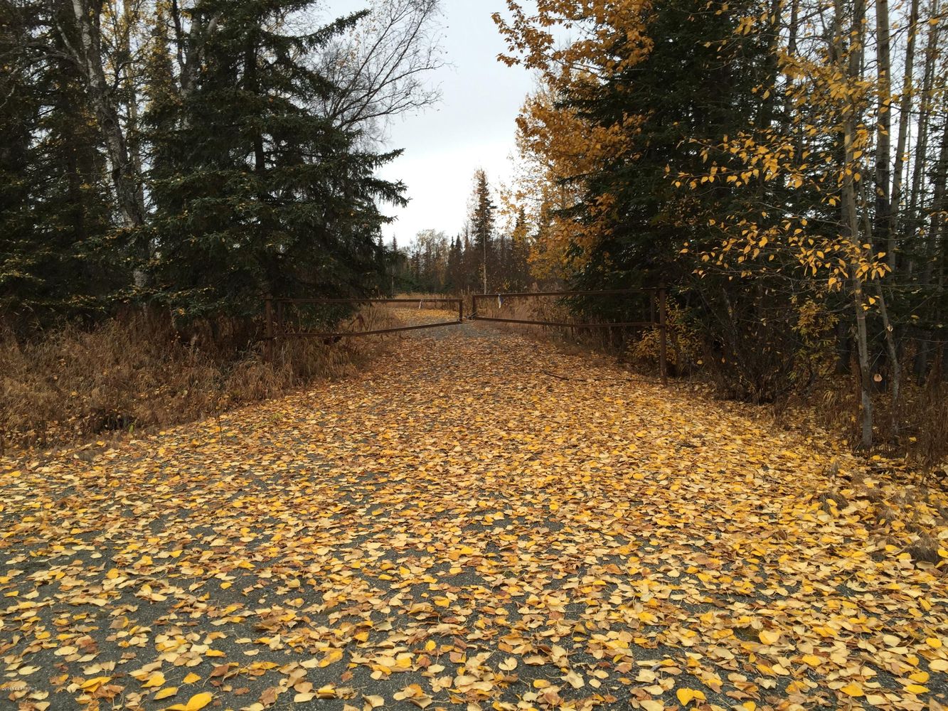 63760 Tailwind Rd, Ninilchik, AK 99639